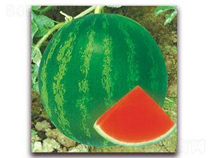 �䌚-���ϷN��-����