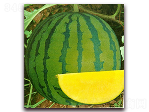 ����-���ϷN��-����