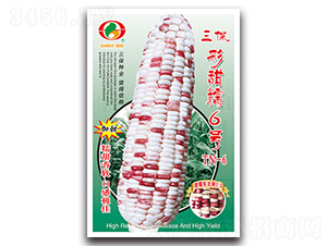 ��������Ŵ6̖(h��o)-Ŵ���׷N��-�����N�I(y��)