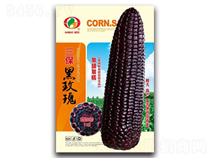 ������õ��-Ŵ���׷N��-�����N�I(y��)