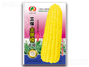 �������SŴ8̖(h��o)-Ŵ���׷N��-�����N�I(y��)