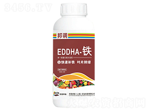 EDDHA���F-���{(di��o)-�ڶ����