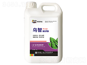 �VԴ�S�����-����-�ڶ����