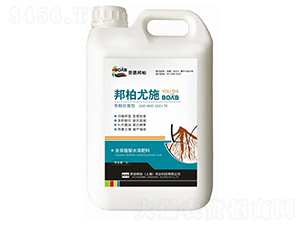 �����ʩ�����������ͣ�-�ڶ����