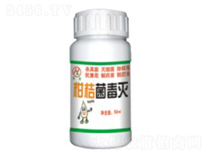 �̽۾�����-��Gֲ��