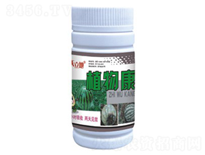 ֲ�￵-��Gֲ��