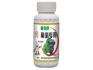 ���ь���ֲ�￵-��Gֲ��