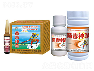 ������-�������-��Gֲ��