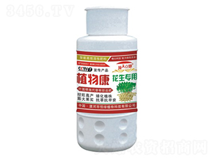 ��������ֲ�￵-�������-��Gֲ��