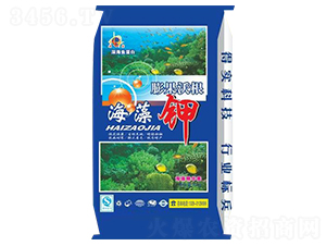 ����Ѹ������-�u(y��)�_(d��)�ʘI(y��)