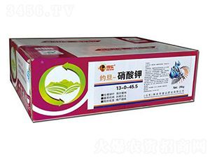 �����13-0-45.5-�s��-�u(y��)�_(d��)�ʘI(y��)