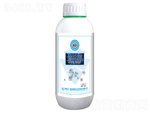 ���w��-��(r��n)�S-̩����