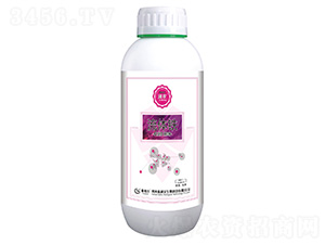 ���w�F-��(r��n)�r(n��ng)-̩����