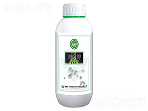 ���w�\-��(r��n)�ژ�(l��)-̩����