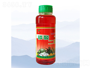 500ml��������-���S