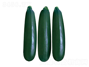 ����-�����J�N��-��ľ�N��