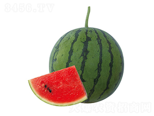 �H��10̖-���ϷN��-��ľ�N��