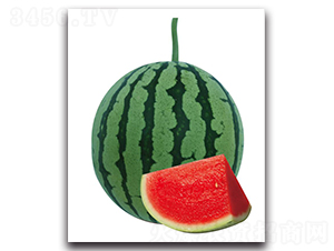 �H��9̖(h��o)-���ϷN��-��ľ�N��