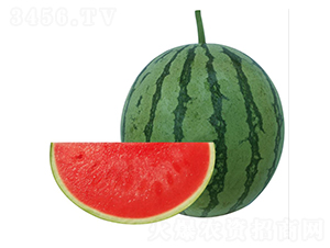 �H��7̖(h��o)-���ϷN��-��ľ�N��