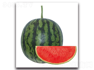 �H��6̖(h��o)-���ϷN��-��ľ�N��