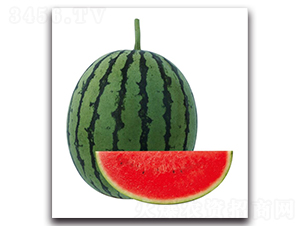 �H��3̖(h��o)-���ϷN��-��ľ�N��