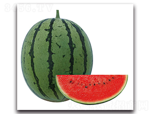 �H��2̖(h��o)-���ϷN��-��ľ�N��