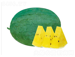 �G����-���ϷN��-��ľ�N��