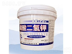 �������⛣�Ͱ��-���S