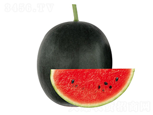 ����-���ϷN��-��ľ�N��