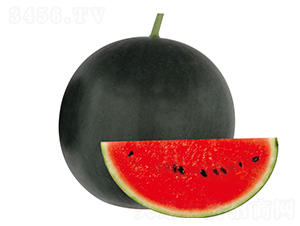 ��ɽ-���ϷN��-��ľ�N��