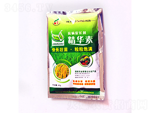 �������L�����A��-���S