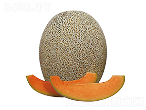 ��(m��ng)��-��ϷN��-��ľ�N��