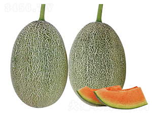 ����-��ϷN��-��ľ�N��