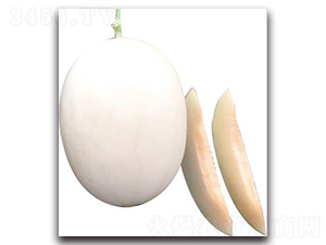 ����ѩ-��ϷN��-��ľ�N��