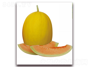 ����-��ϷN��-��ľ�N��