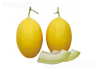 ����-��ϷN��-��ľ�N��