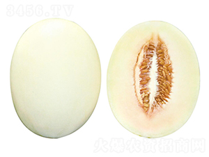 ����-��ϷN��-��ľ�N��