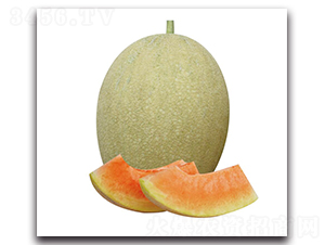 ����Ů-��ϷN��-��ľ�N��