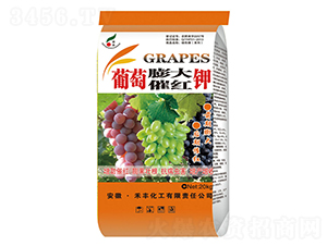 �������߼t�-���S