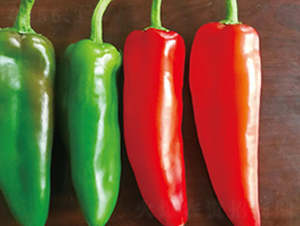 �G��-�����N��-��ľ�N��