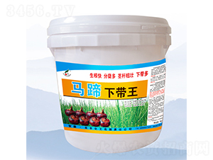 �R������-���S