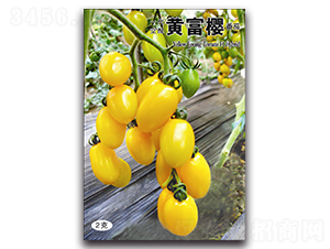 �S����-���ѷN��-��ľ�N��