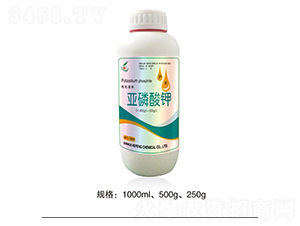 �������-���S