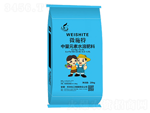 ����Ԫ��ˮ�ܷ���-΢ʩ��-���S