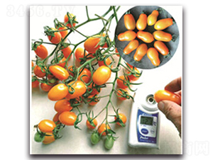 509С����-���ѷN��-ʢ���N�I(y��)