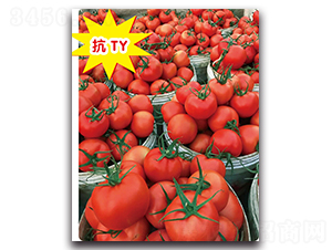 ϣ���D-���ѷN��-ʢ���N�I(y��)