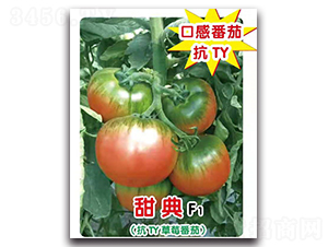 ���F1-���ѷN��-ʢ���N�I(y��)