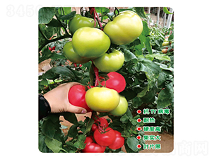 ������-���ѷN��-ʢ���N�I(y��)