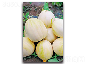 ����-��ϷN��-ʢ���N�I(y��)