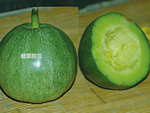 ���-��ϷN��-ʢ���N�I(y��)